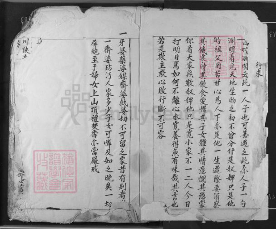 江西省吉安市吉水县双村镇邹氏族谱-邹氏草谱.pdf电子版插图3 江西省吉安市吉水县双村镇邹氏族谱-邹氏草谱.pdf电子版插图3