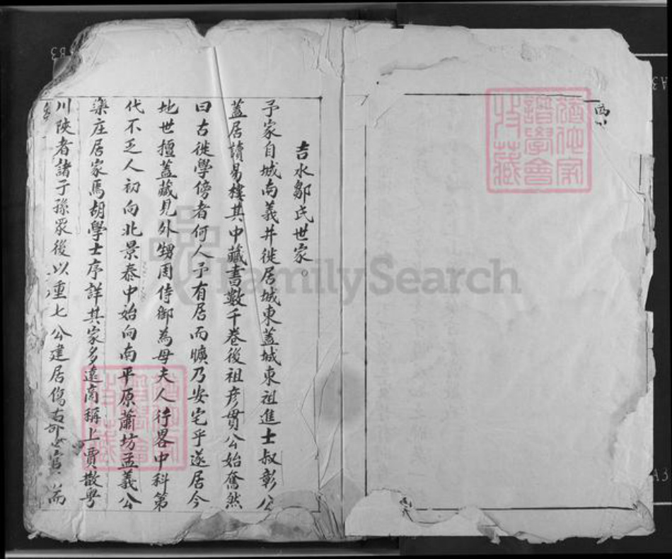 江西省吉安市吉水县双村镇邹氏族谱-邹氏草谱.pdf电子版插图4 江西省吉安市吉水县双村镇邹氏族谱-邹氏草谱.pdf电子版插图4