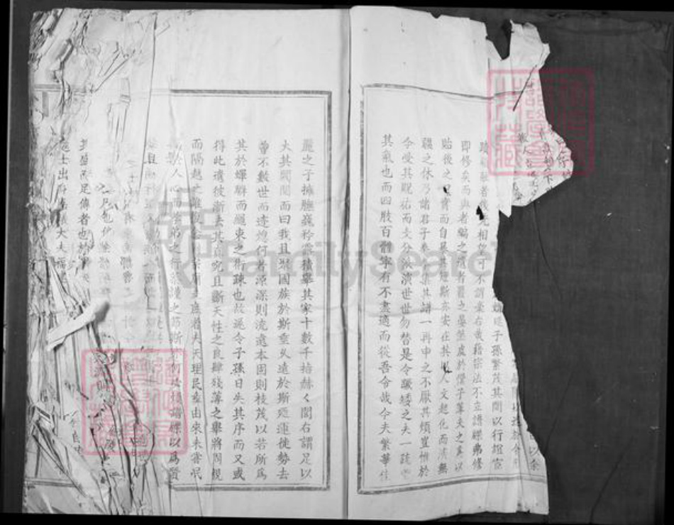 江西省吉安市安福县寮塘乡邹氏族谱-小水龙溪邹氏族谱.pdf电子版插图1