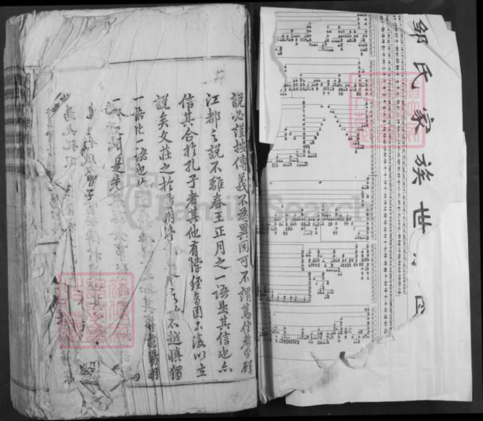 江西省吉安市安福县邹氏族谱-澈源邹氏族谱.pdf电子版插图1