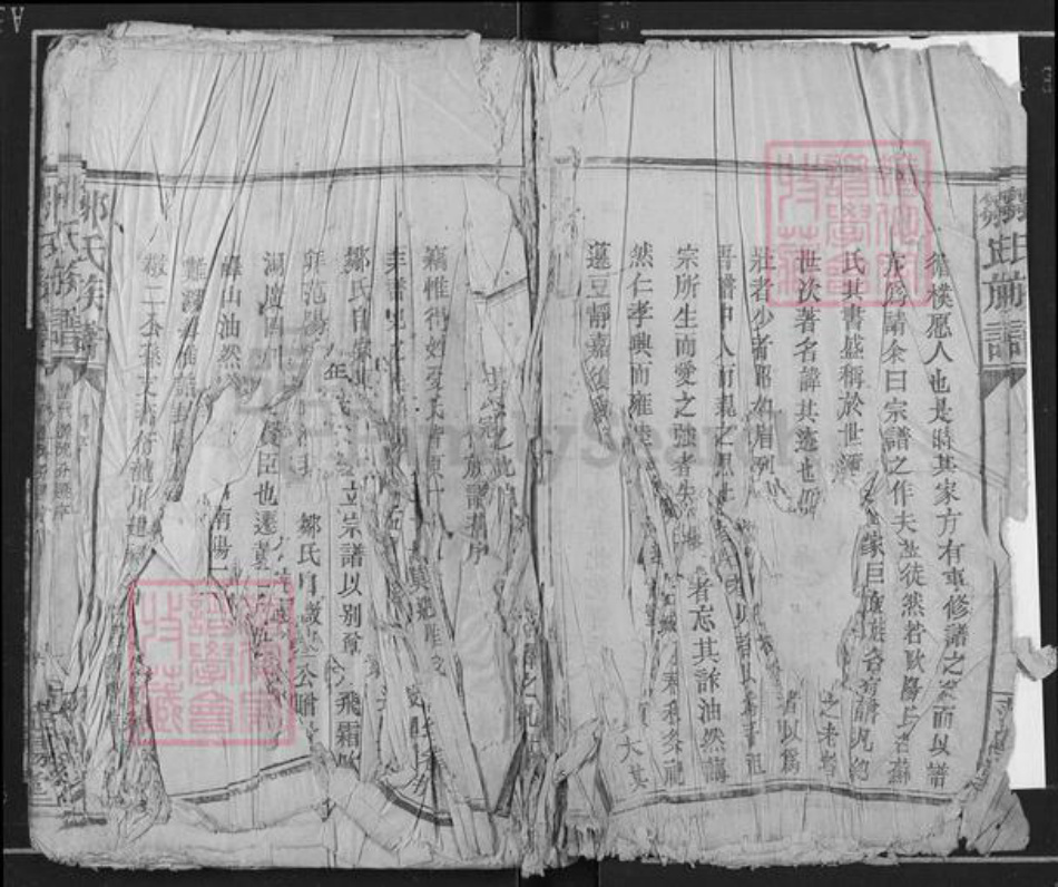 江西省吉安市遂川县泉江镇邹氏范阳堂族谱-邹氏族谱.pdf电子版插图4