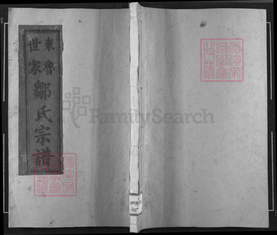 江西省宜春市高安市蓝坊镇邹氏东鲁堂族谱-东鲁世家邹氏宗谱.pdf电子版