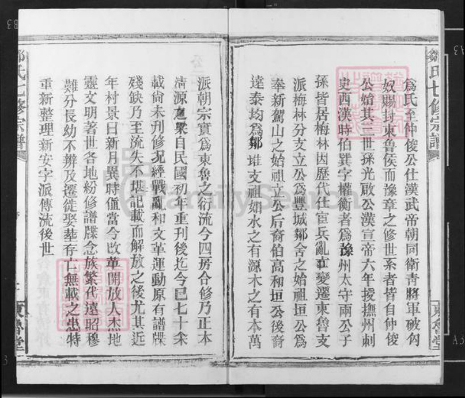 江西省宜春市高安市蓝坊镇邹氏东鲁堂族谱-东鲁世家邹氏宗谱.pdf电子版插图2