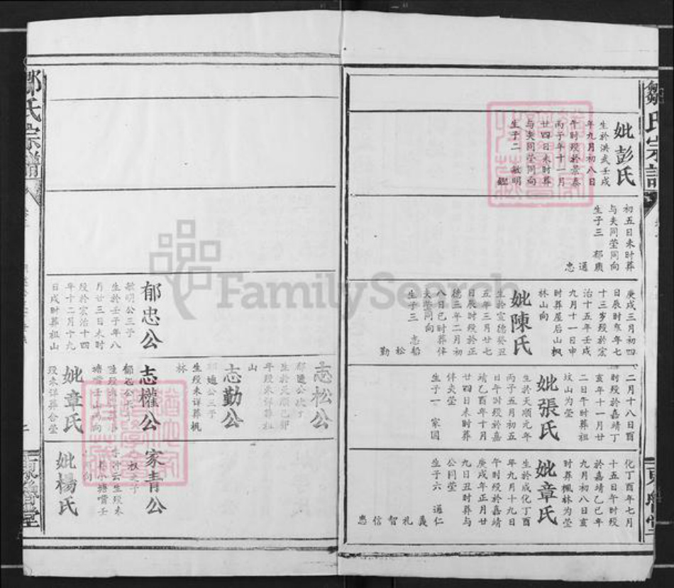 湖北省咸宁市咸安区大幕乡邹氏东鲁堂族谱-邹氏宗谱.pdf电子版插图2 湖北省咸宁市咸安区大幕乡邹氏东鲁堂族谱-邹氏宗谱.pdf电子版插图2