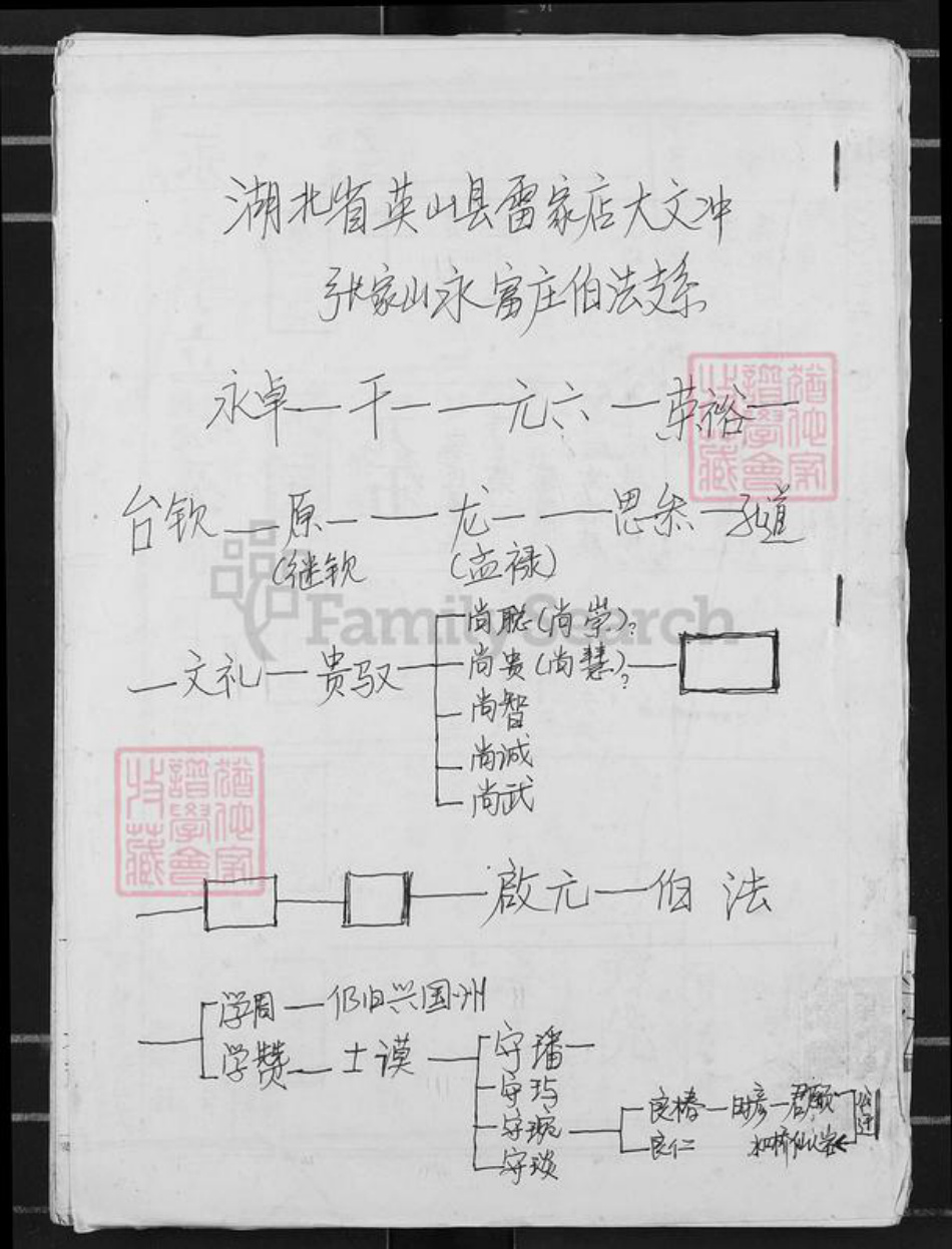 湖北省黄冈市英山县邹氏东鲁堂族谱-湖北英山县雷家店大文冲张家山永富庄伯法支系.pdf电子版