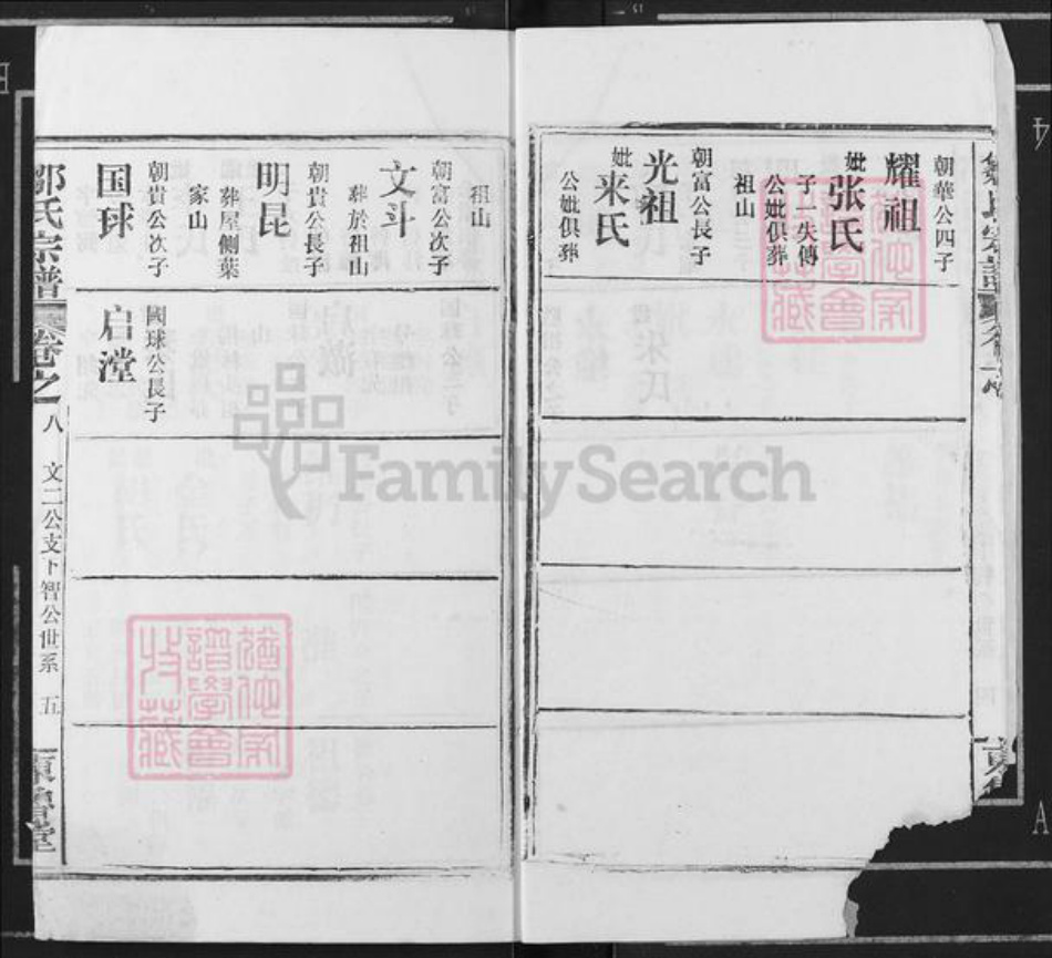 湖北省鄂州市邹氏东鲁堂族谱-邹氏宗谱.pdf电子版插图5 湖北省鄂州市邹氏东鲁堂族谱-邹氏宗谱.pdf电子版插图5