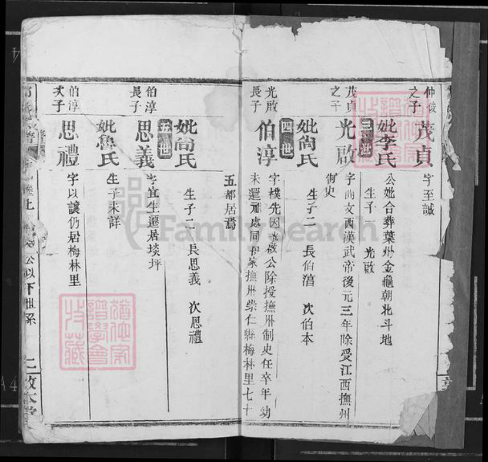 山东省济宁市兖州区邹氏敦本堂族谱-邹氏宗谱.pdf电子版插图2 山东省济宁市兖州区邹氏敦本堂族谱-邹氏宗谱.pdf电子版插图2