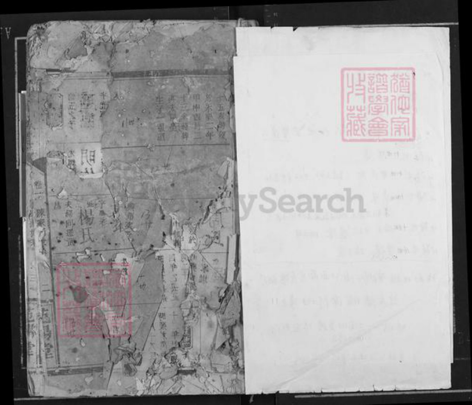 湖南省岳阳市临湘市临湘邹氏范阳堂族谱-邹氏族谱.湖南省岳阳临湘市乘风乡陈家湖支谱.pdf电子版插图2