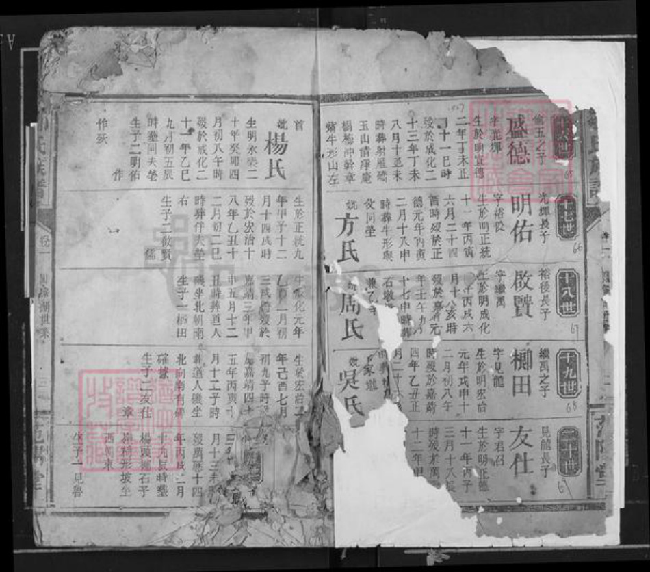 湖南省岳阳市临湘市临湘邹氏范阳堂族谱-邹氏族谱.湖南省岳阳临湘市乘风乡陈家湖支谱.pdf电子版插图3