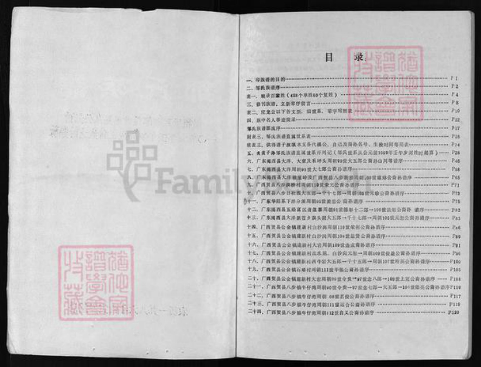 广东省揭西县龙川县五华县梧州广西昭平钟山贺县邹氏族谱-邹氏族谱 [不分卷].pdf电子版插图2