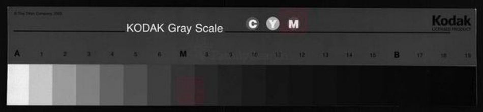 广东省河源市和平广东省河源市龙川县广东省惠州市惠阳区邹氏族谱-邹氏族谱 [13卷].pdf电子版