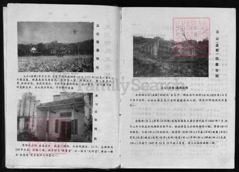 广东省河源市和平广东省河源市龙川县广东省惠州市惠阳区邹氏族谱-邹氏族谱 [13卷].pdf电子版插图5