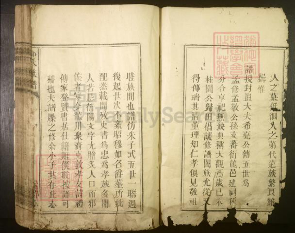 广东省河源市龙川县邹氏族谱-邹氏族谱[不分卷].pdf电子版插图2