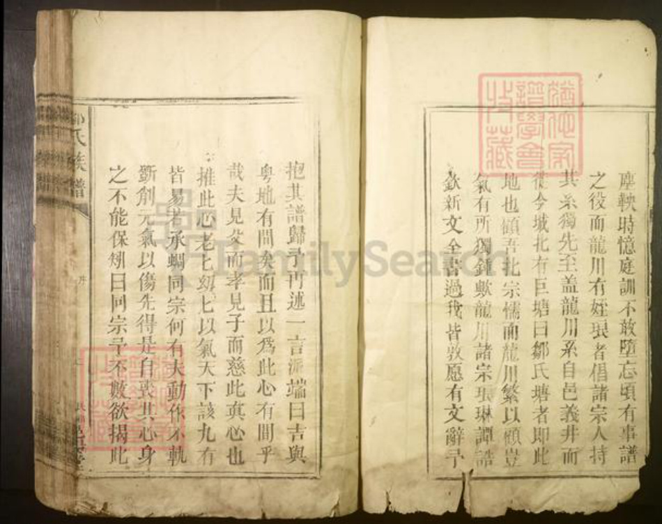 广东省河源市龙川县邹氏族谱-邹氏族谱[不分卷].pdf电子版插图4