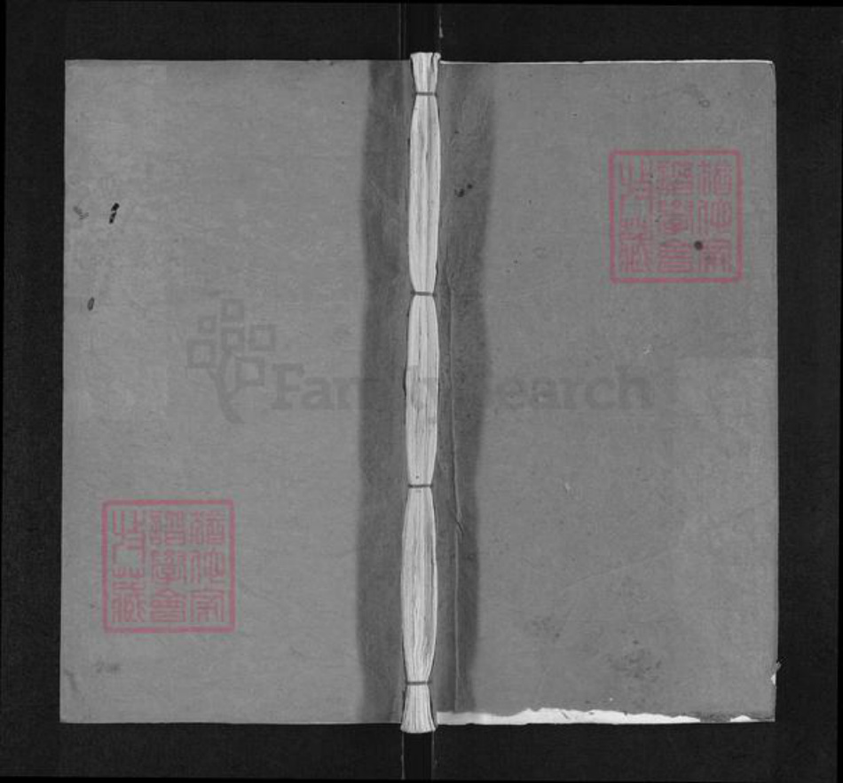 湖北省武汉市新洲区左氏裕俊堂族谱-左氏宗谱.pdf电子版