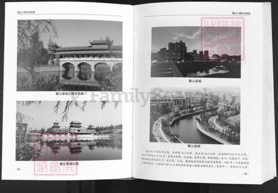 重庆市璧山区八塘镇左氏族谱-济阳左氏族谱.pdf电子版插图3