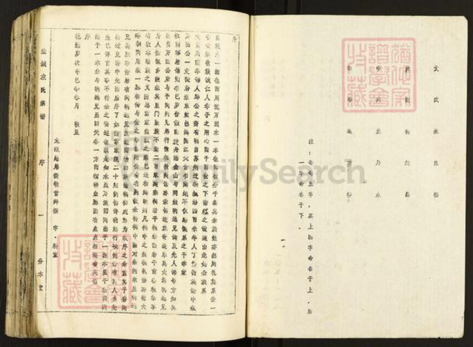 江苏省盐城市亭湖区左氏务本堂族谱-盐城左氏宗谱.pdf电子版插图3