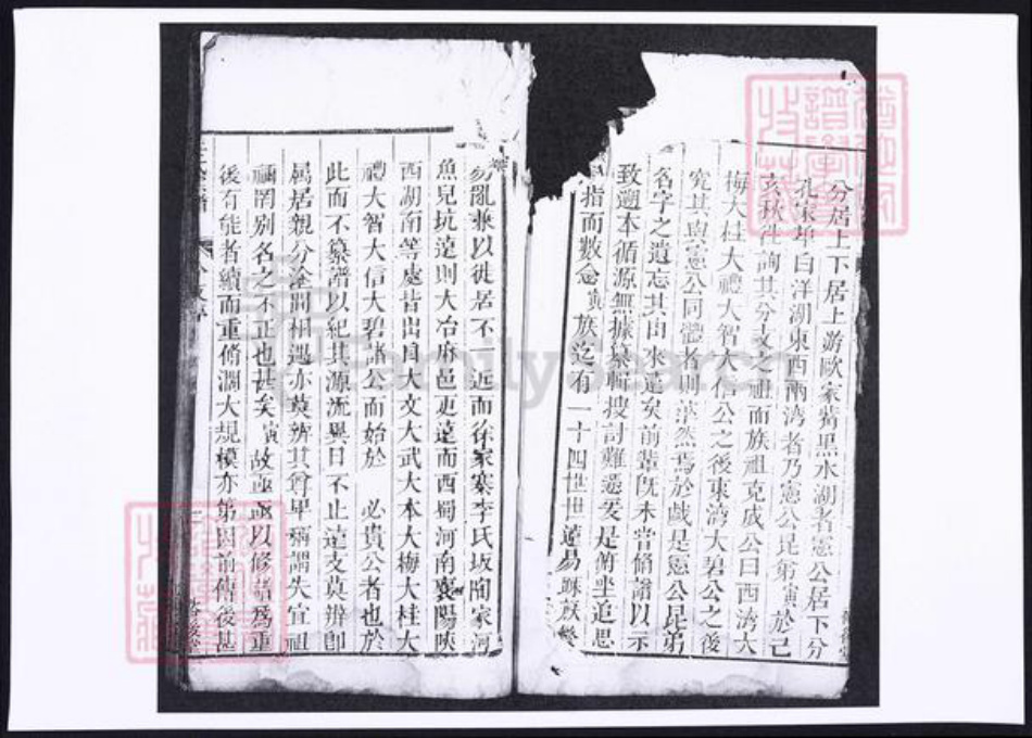 湖北省黄冈市左氏族谱-左氏宗谱.pdf电子版插图4