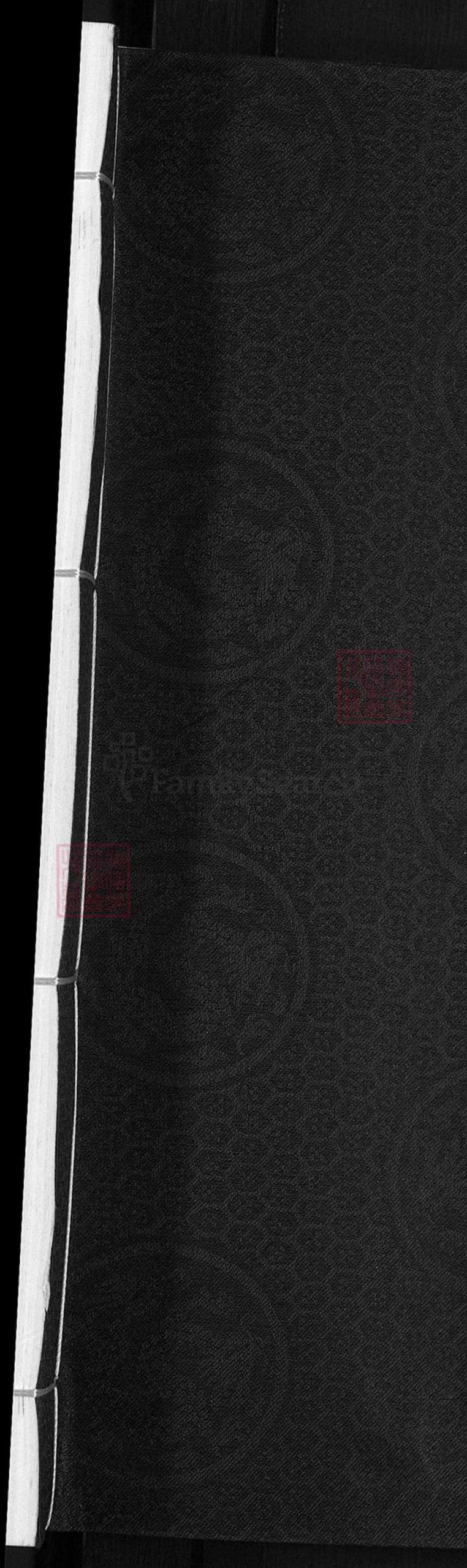 浙江省丽水市缙云县徐氏族谱-徐氏宗谱.pdf电子版插图1