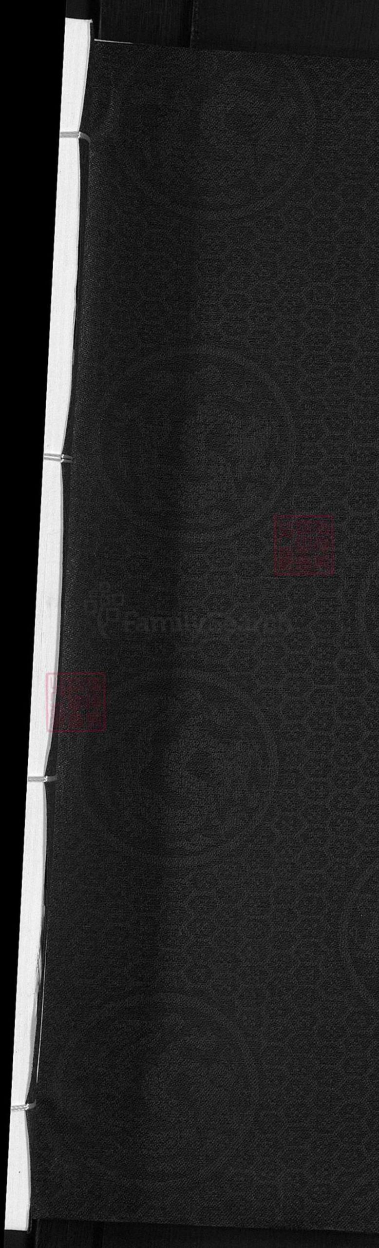 浙江省金华市兰溪市林氏九牧堂族谱-西河林氏宗谱.pdf电子版插图1