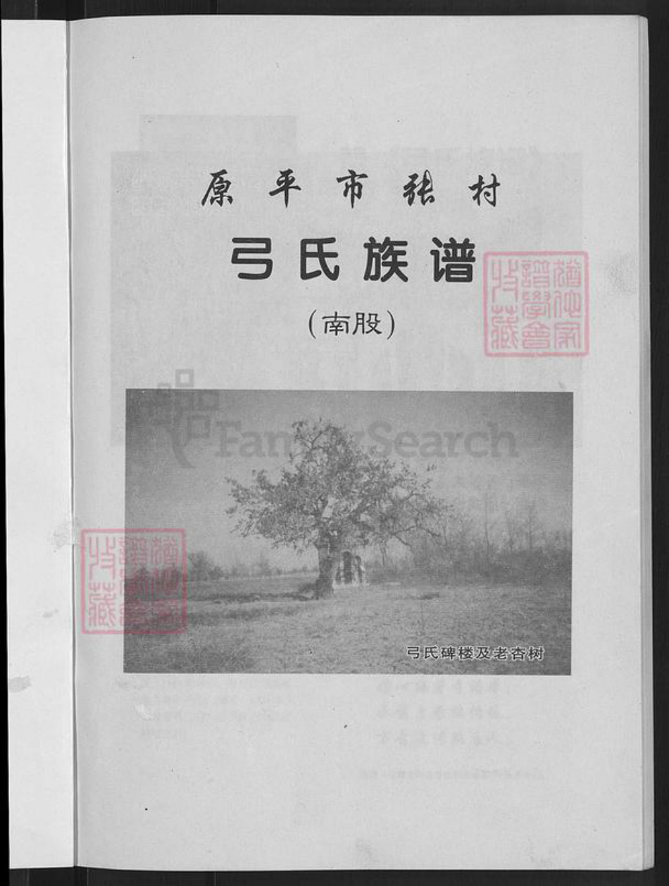 山西省忻州市原平市新原乡弓氏族谱-弓氏族谱(南股).pdf电子版插图3 山西省忻州市原平市新原乡弓氏族谱-弓氏族谱(南股).pdf电子版插图3