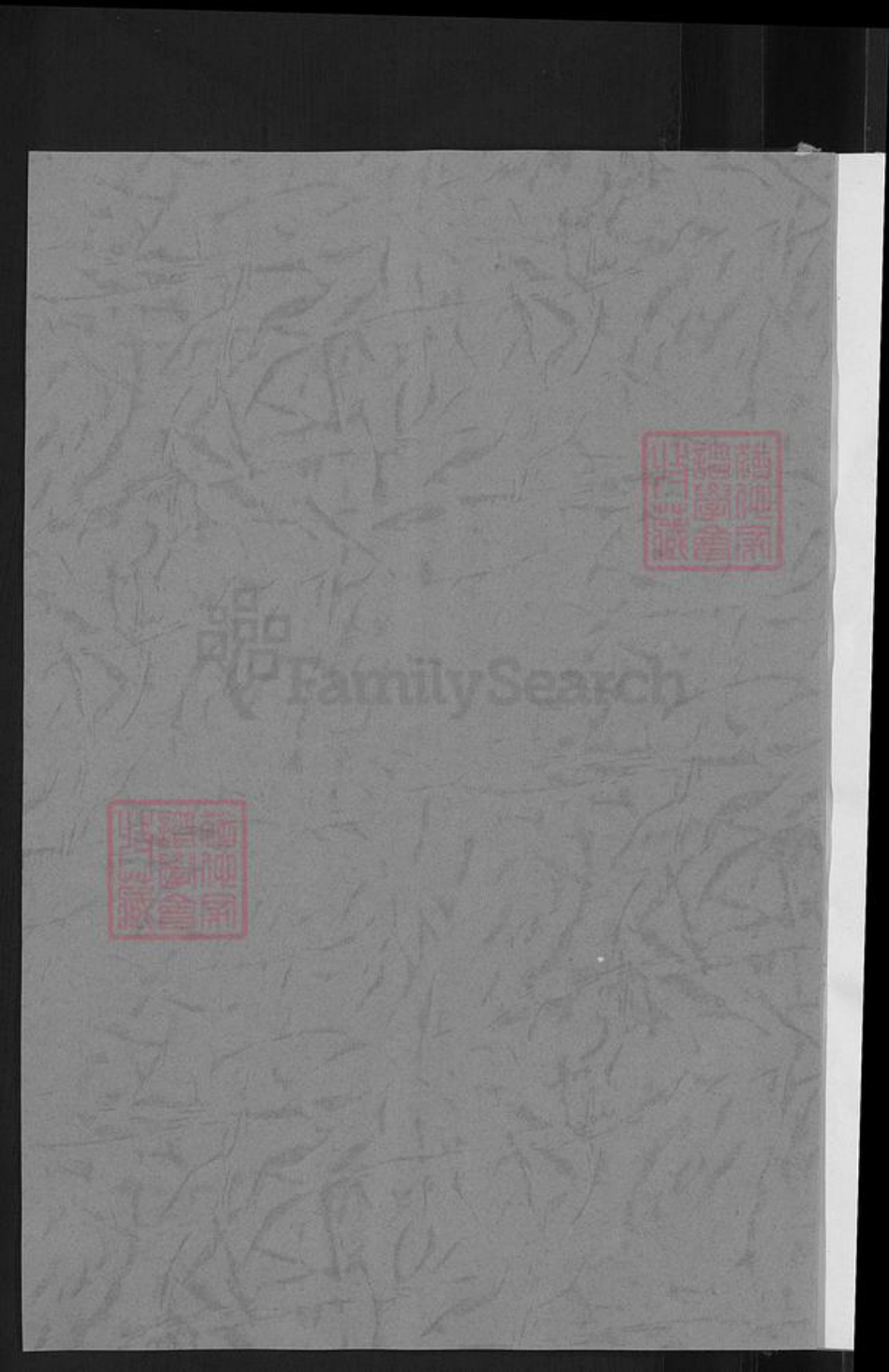 山西省忻州市忻府区解原乡连氏族谱-新路连氏族谱.pdf电子版插图2