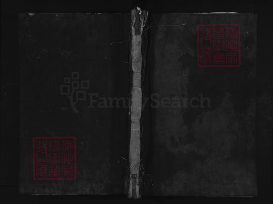 浙江省宁波市奉化区溪口镇印氏族谱-甘里印氏族谱.pdf电子版