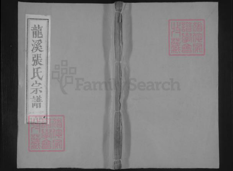 浙江省金华市浦江县白马镇张氏族谱-龙溪张氏八甲宗谱.pdf电子版