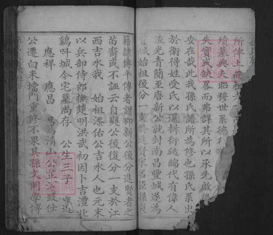 湖南省常德市孙氏乐安堂族谱-孙氏族谱.pdf电子版插图2