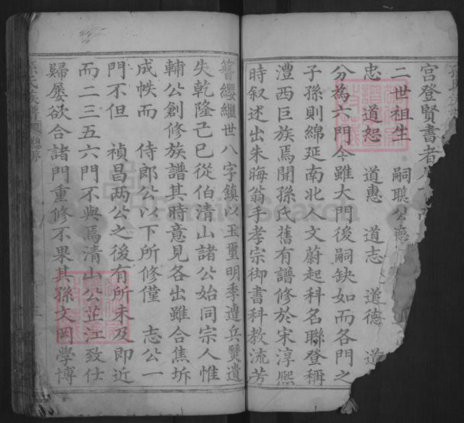 湖南省常德市孙氏乐安堂族谱-孙氏族谱.pdf电子版插图3