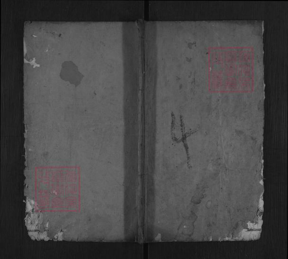 湖北省武汉市黄陂区六指街道杨氏乐善堂族谱-杨氏宗谱.pdf电子版