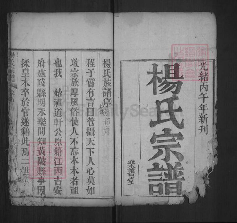 湖北省武汉市黄陂区六指街道杨氏乐善堂族谱-杨氏宗谱.pdf电子版插图1