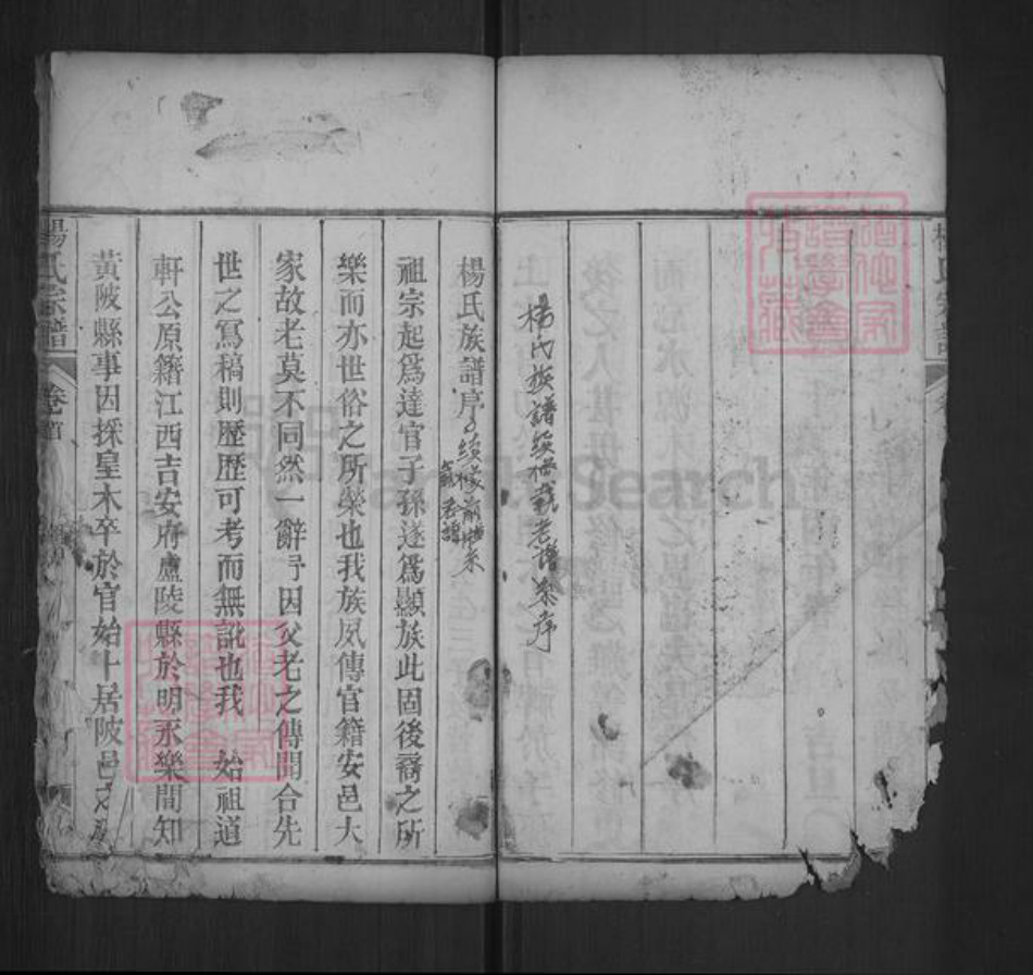 湖北省武汉市黄陂区六指街道杨氏乐善堂族谱-杨氏宗谱.pdf电子版插图4