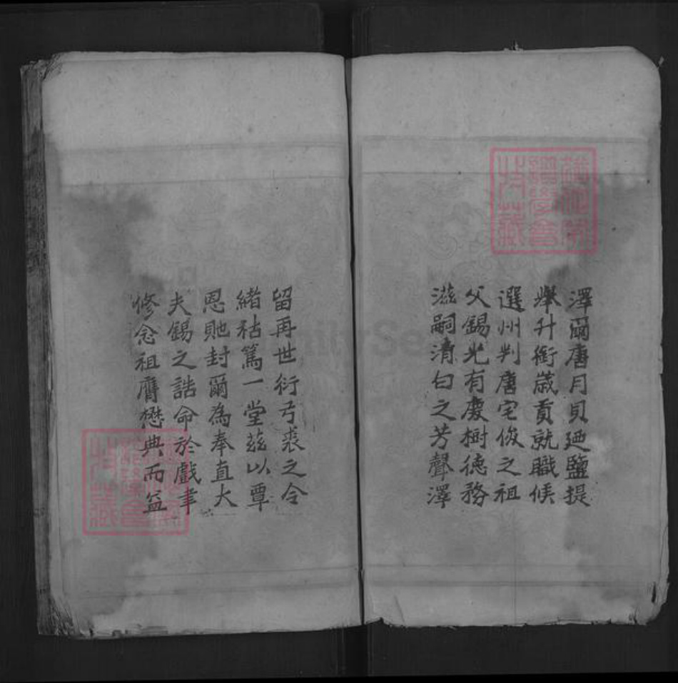 湖南省郴州市嘉禾县龙潭镇唐氏族谱-唐氏宗谱.pdf电子版插图4 湖南省郴州市嘉禾县龙潭镇唐氏族谱-唐氏宗谱.pdf电子版插图4