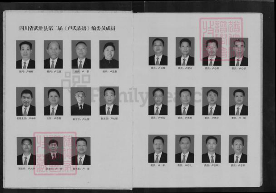 四川省广安市武胜县卢氏族谱-卢氏族谱.pdf电子版插图2