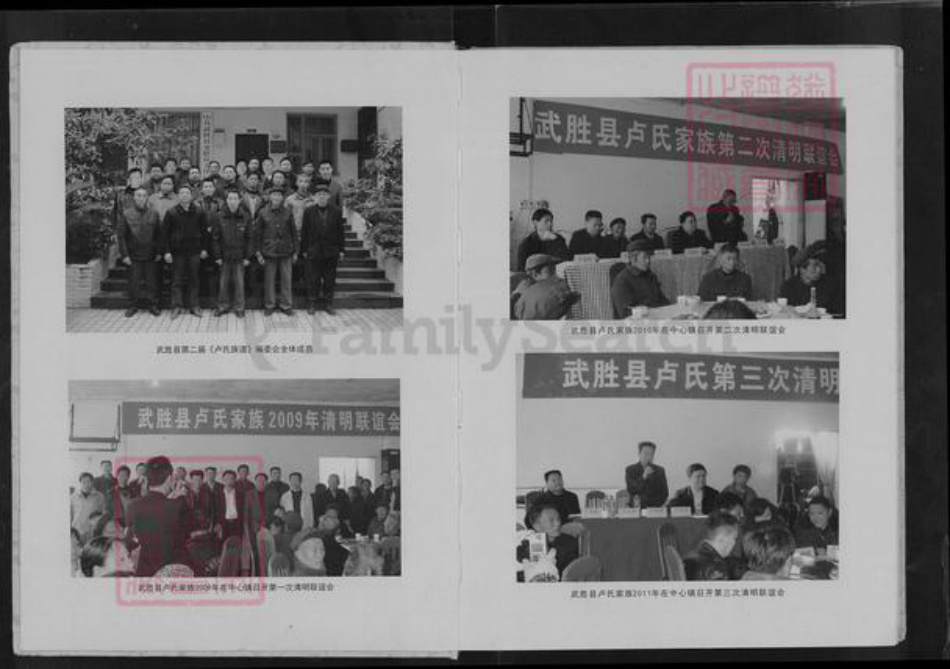 四川省广安市武胜县卢氏族谱-卢氏族谱.pdf电子版插图3