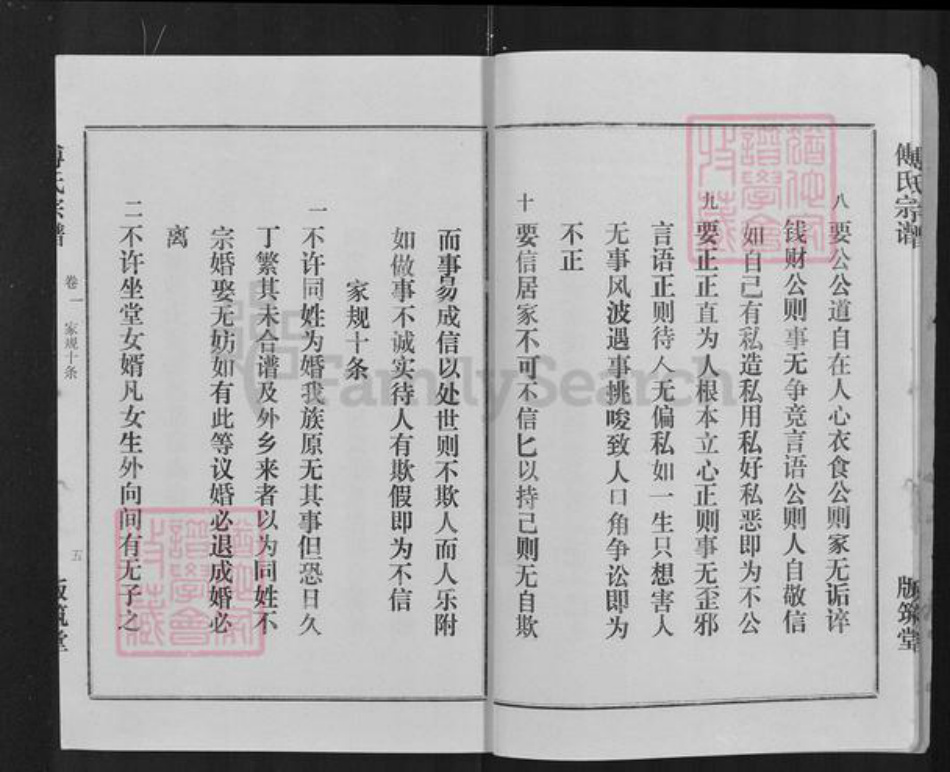 湖北省武汉市汉阳区傅氏版筑堂族谱-傅氏宗谱.pdf电子版插图5