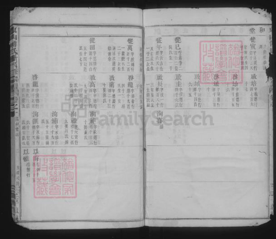 浙江省金华市傅氏族谱-东山傅氏十八修宗谱.pdf电子版插图2