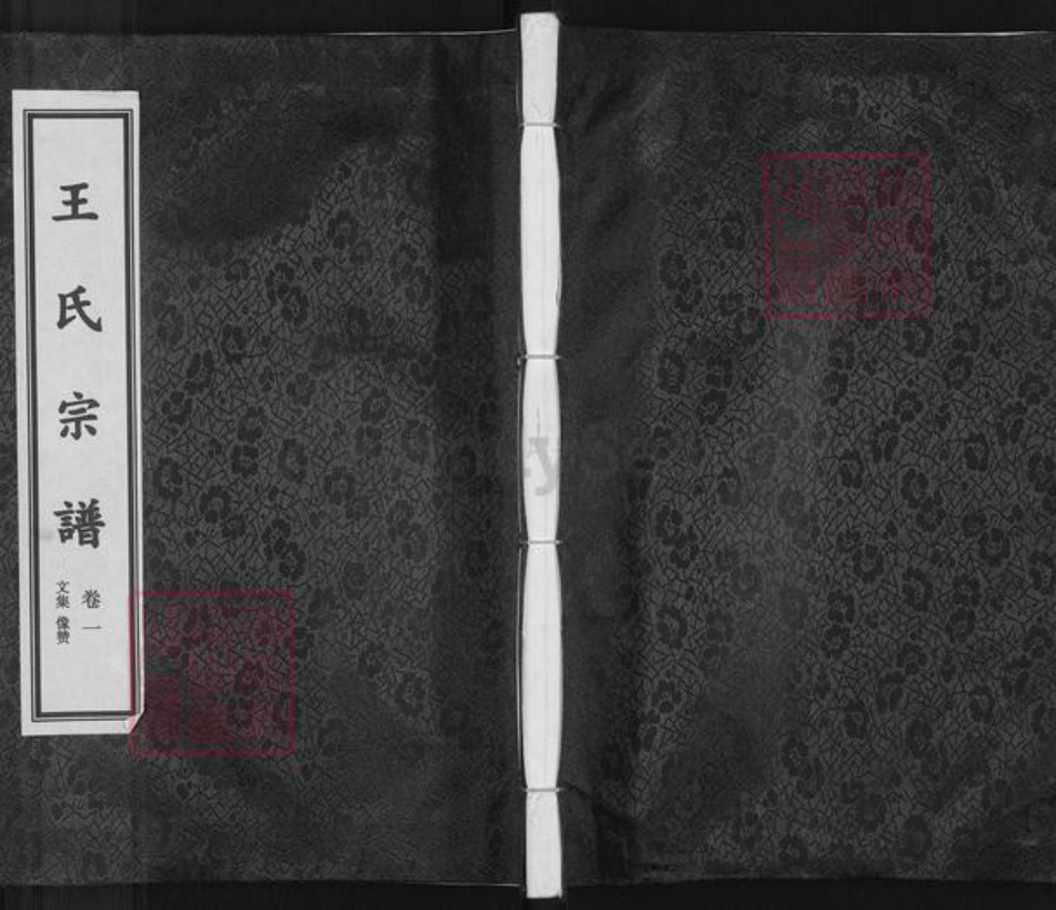 浙江省金华市武义县柳城畬族镇王氏族谱-麻济王氏宗谱.pdf电子版