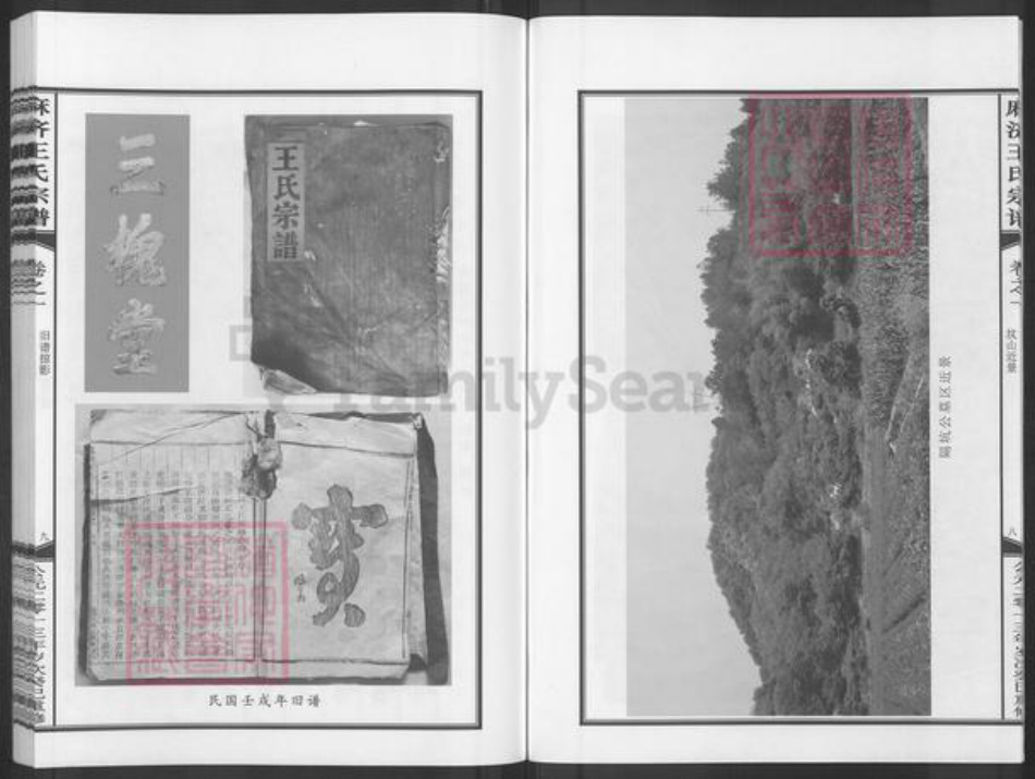 浙江省金华市武义县柳城畬族镇王氏族谱-麻济王氏宗谱.pdf电子版插图5