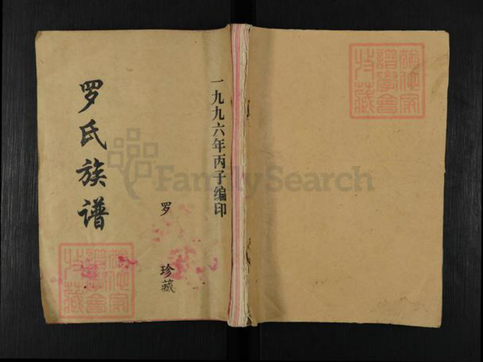 湖南省益阳市桃江县罗氏豫章堂族谱-罗氏八修族谱.pdf电子版