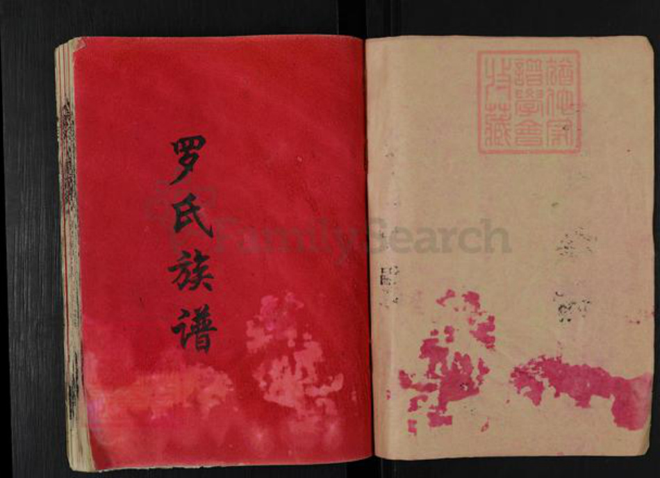 湖南省益阳市桃江县罗氏豫章堂族谱-罗氏八修族谱.pdf电子版插图1