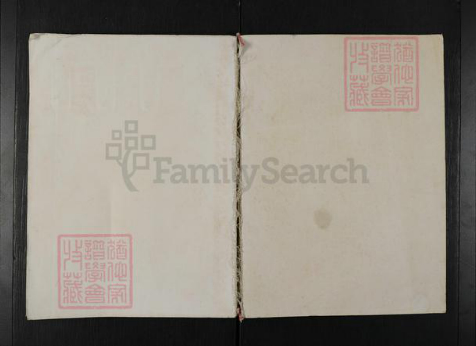 湖南省岳阳市华容县张氏清河堂族谱-清河张氏族谱.pdf电子版