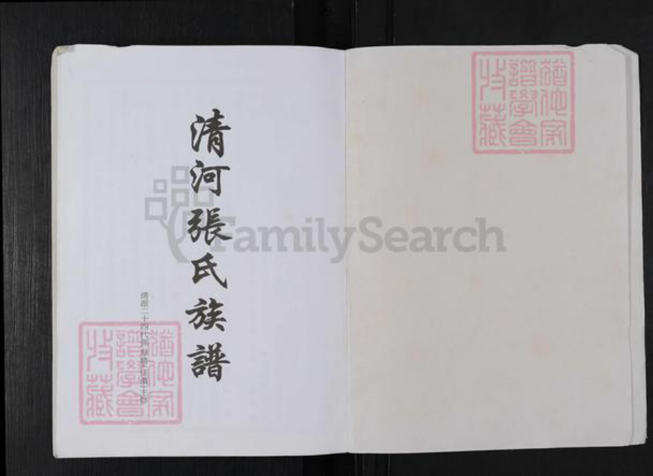 湖南省岳阳市华容县张氏清河堂族谱-清河张氏族谱.pdf电子版插图1