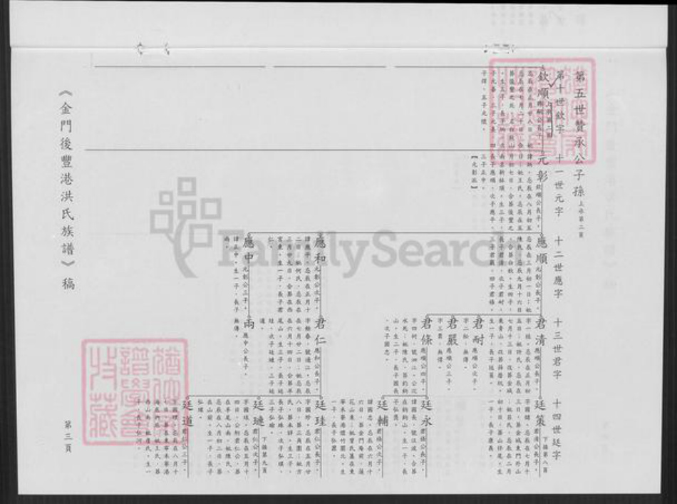 福建省泉州市金门县金城洪氏族谱-金门县金城镇后丰港洪氏族谱.pdf电子版插图4