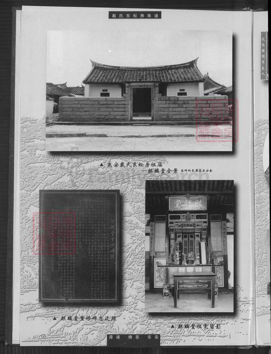 福建省泉州市南安市丰州镇戴氏麒麟堂族谱-戴氏东松房族谱.pdf电子版插图5