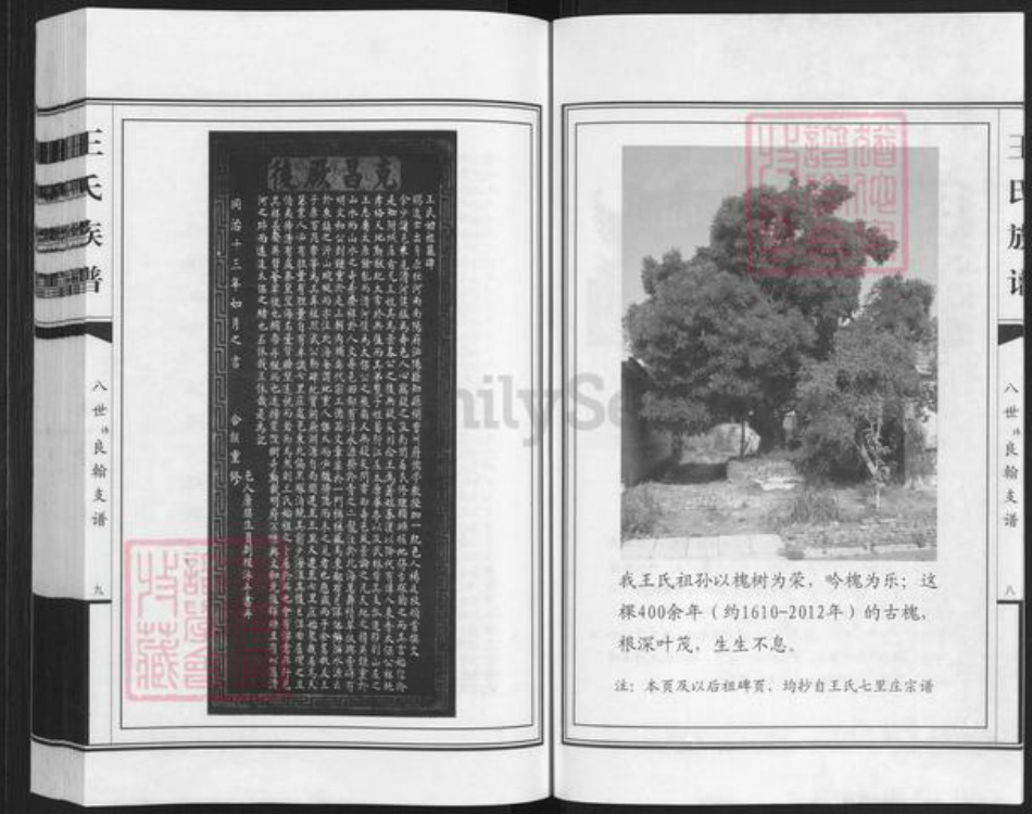 山东省潍坊市寒亭区王氏族谱-七裹庄王氏族谱.pdf电子版插图5 山东省潍坊市寒亭区王氏族谱-七裹庄王氏族谱.pdf电子版插图5