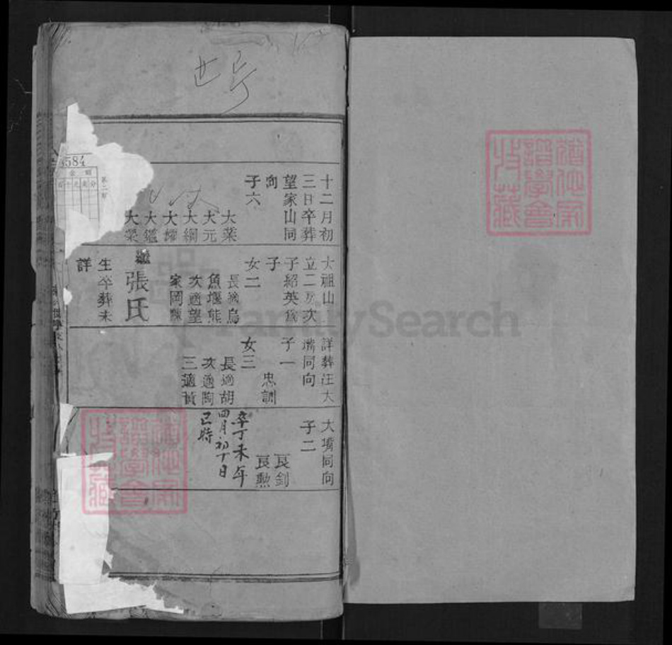 湖北省武汉市黄陂区汪氏敦本堂族谱-汪氏宗谱.pdf电子版插图1