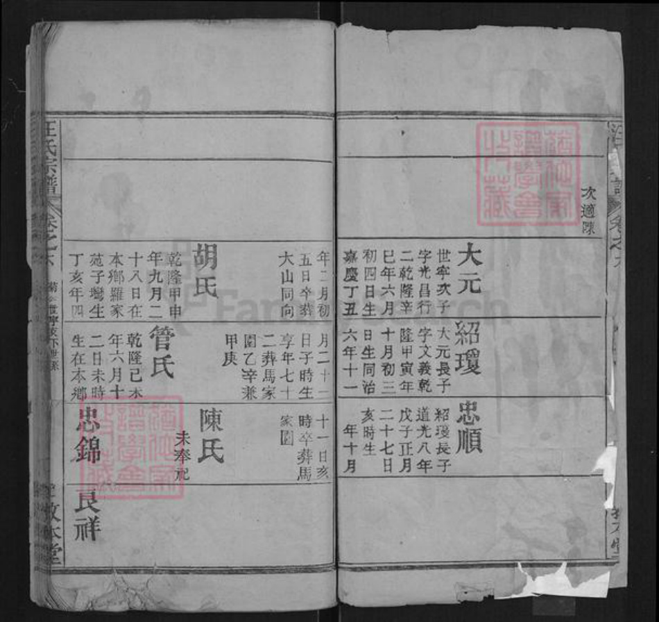 湖北省武汉市黄陂区汪氏敦本堂族谱-汪氏宗谱.pdf电子版插图2