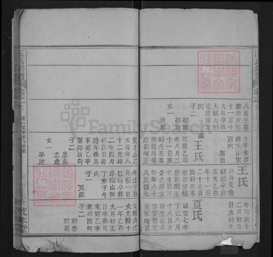 湖北省武汉市黄陂区汪氏敦本堂族谱-汪氏宗谱.pdf电子版插图5